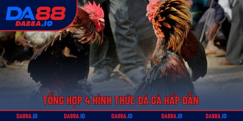 Tổng hợp 4 hình thức đá gà hấp dẫn hiện nay