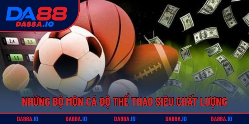 Những bộ môn cá độ thể thao siêu chất lượng