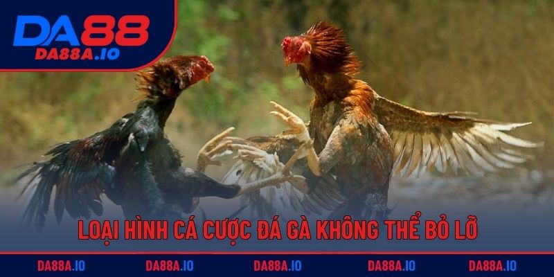 Loại hình cá cược đá gà không thể bỏ lỡ