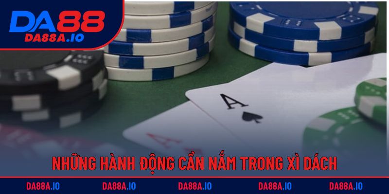 Cách Chơi Xì Dách - Tân Binh Cũng Dễ Dàng Thắng Lớn 4 Những hành động cần nắm trong xì dách