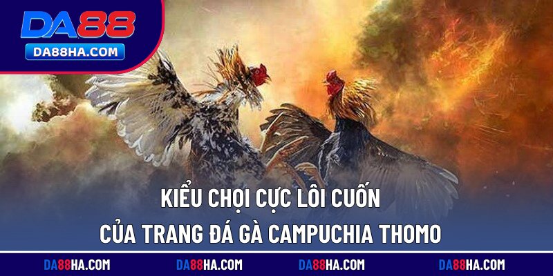Đá Gà Campuchia Thomo - Giải Trí Lôi Cuốn, Thưởng Lớn 3 Kiểu chọi cực lôi cuốn của trang đá gà Campuchia Thomo