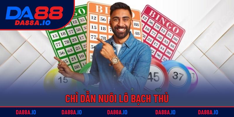 Nuôi Lô Bạch Thủ - Chiến Thuật Săn Lộc Chuẩn & Hiệu Quả 2 Chỉ dẫn nuôi lô bạch thủ