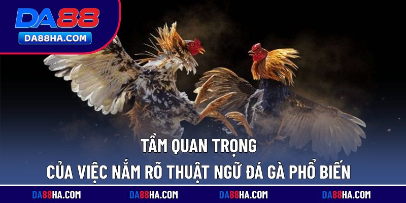Thuật Ngữ Đá Gà Phổ Biến, Sử Dụng Nhiều Ở Các Trường Đấu 1 Tầm quan trọng của việc nắm rõ thuật ngữ đá gà phổ biến