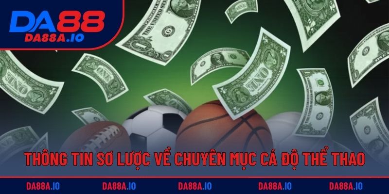 Thông tin sơ lược về chuyên mục cá độ thể thao