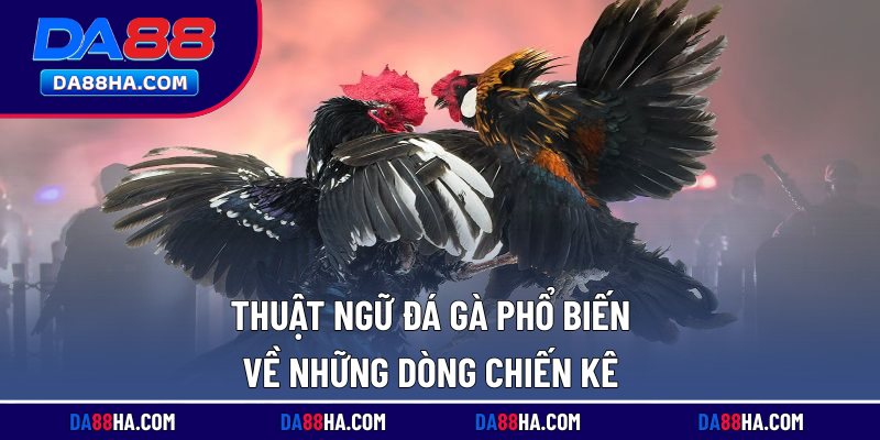 Thuật Ngữ Đá Gà Phổ Biến, Sử Dụng Nhiều Ở Các Trường Đấu 3 Loạt thuật ngữ đá gà phổ biến về kỹ thuật săn thưởng