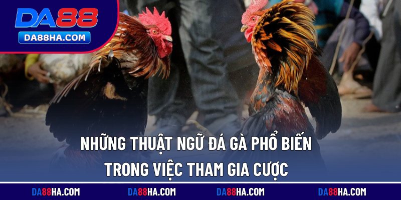 Thuật Ngữ Đá Gà Phổ Biến, Sử Dụng Nhiều Ở Các Trường Đấu 4 Những thuật ngữ đá gà phổ biến trong việc tham gia cược